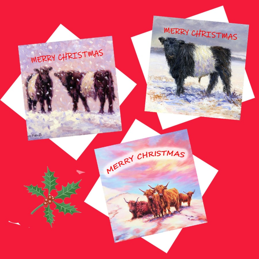 Cow Christmas Cards Multi Pack,  Scottish Cards.