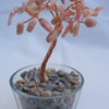 Pink Opal Gemstone tree of life