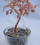 Pink Opal Gemstone tree of life