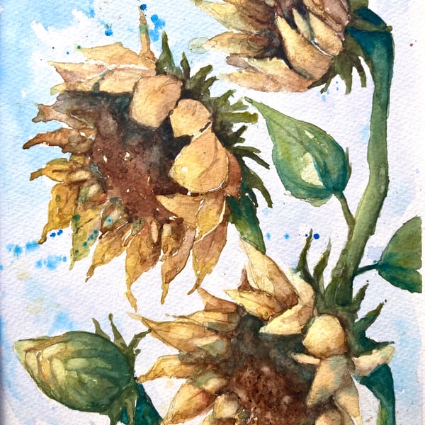 Original watercolour painting of Sunflowers
