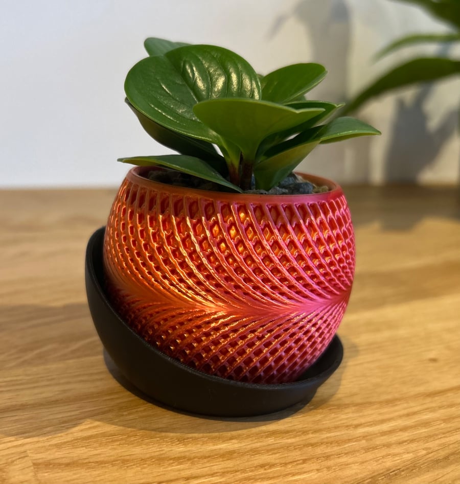 Iridescent Bi-colour Succulent Planter with Drainage and Tray