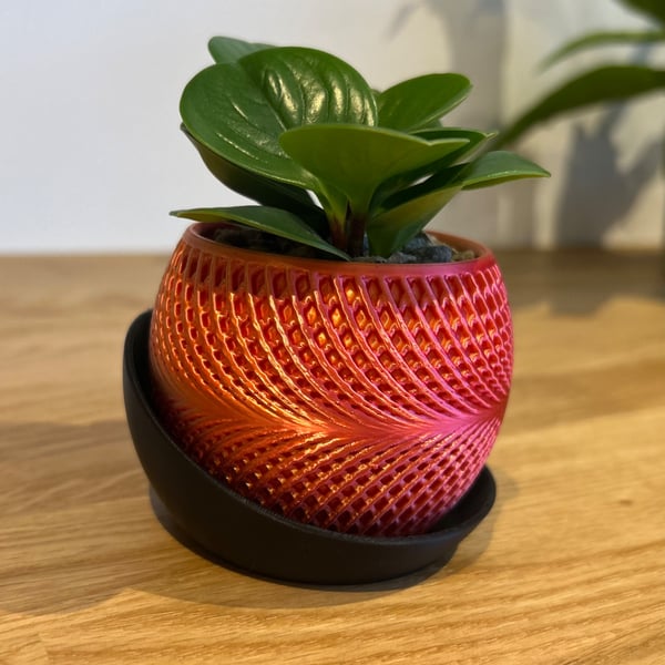 Iridescent Bi-colour Succulent Planter with Drainage and Tray