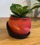 Iridescent Bi-colour Succulent Planter with Drainage and Tray