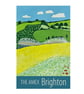Brighton Amex stadium travel poster print by Susie West - Image 4