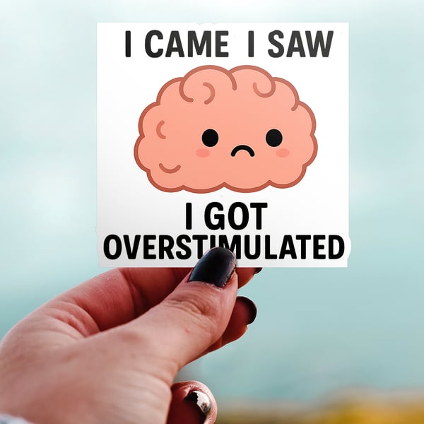 I Came I Saw I Got Overstimulated Folksy