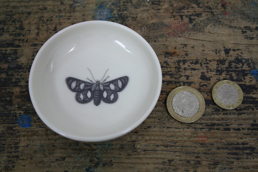 Porcelain dish with moth image