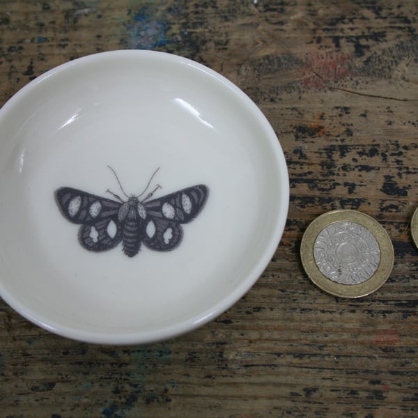 Porcelain dish with moth image