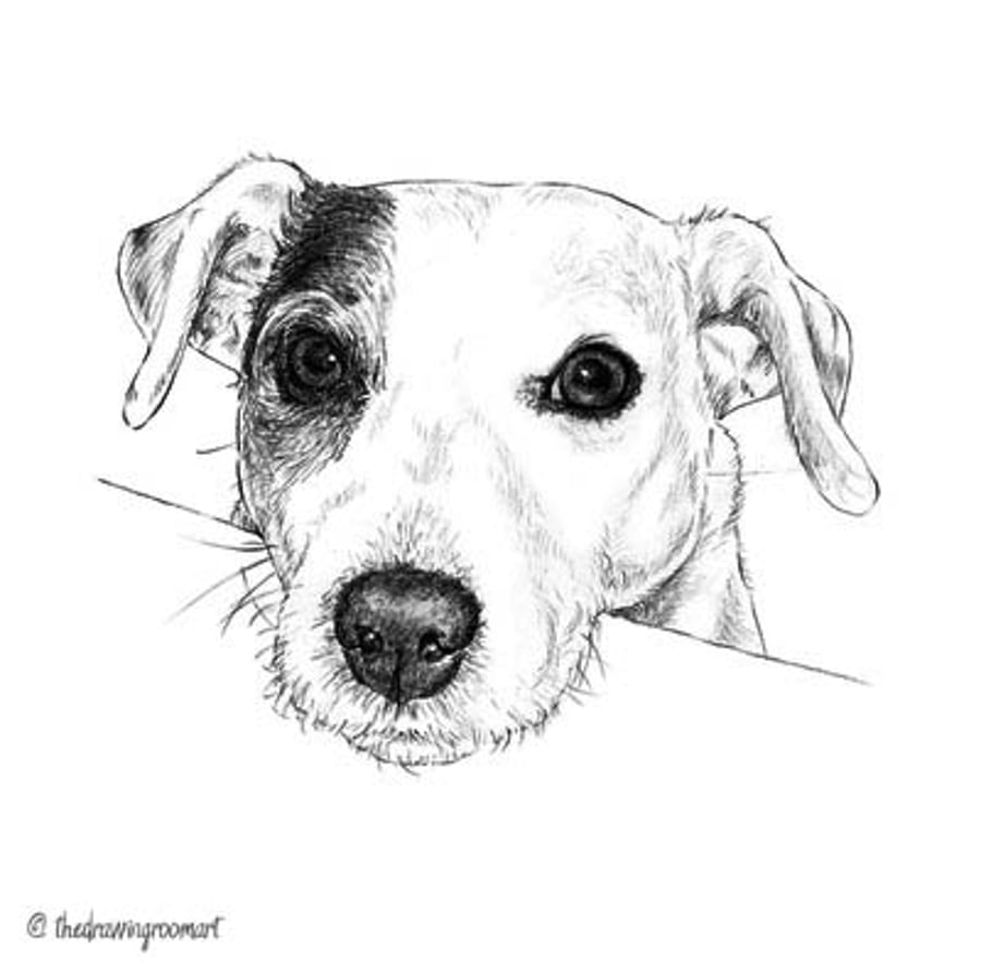 Pet Portraits - Bespoke Illustration