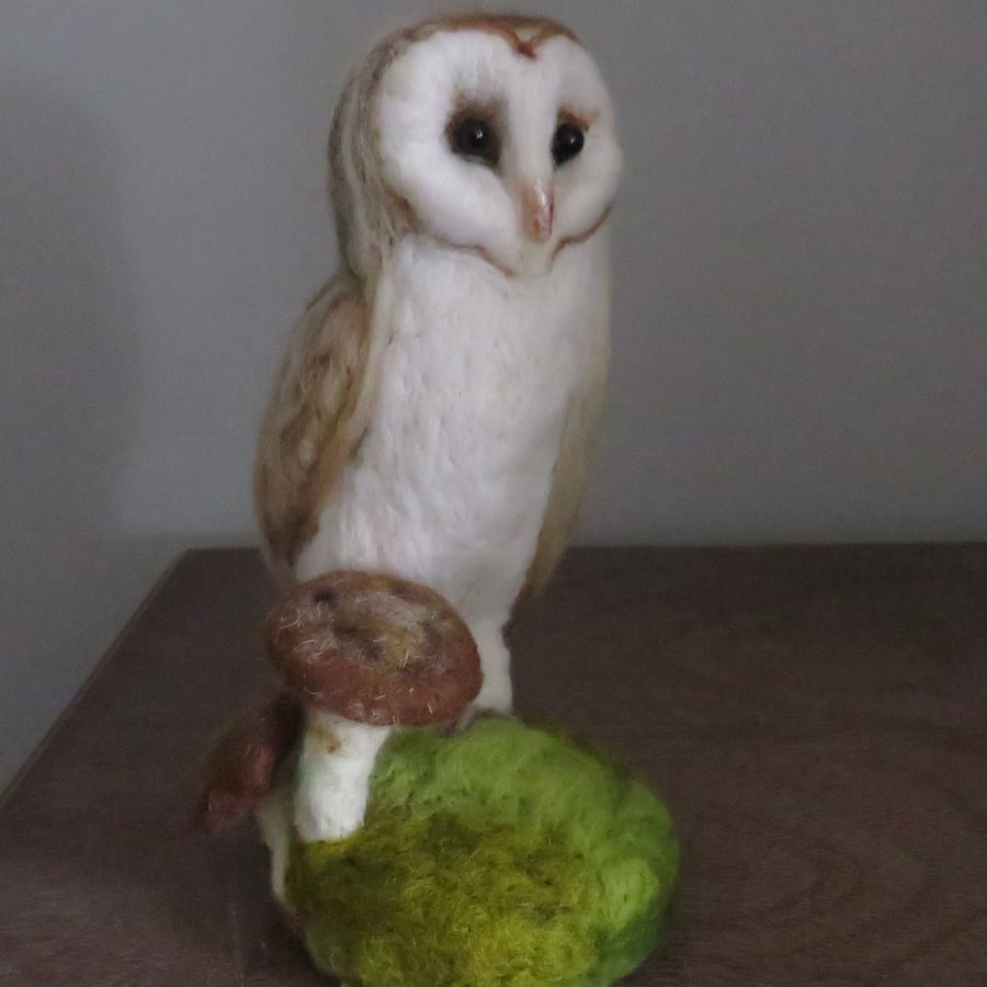 Woodland Barn Owl