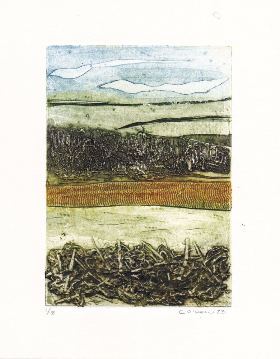 Far Reaching View - Collagraph Print - Made in Yorkshire