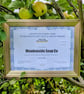 Crisp Mist 100% Natural Handmade Soap - eucalyptus, peppermint - Image 5