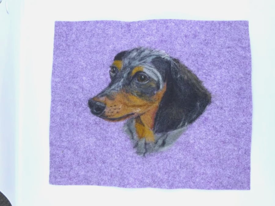 Needle felted realistic Dachshund original artwork