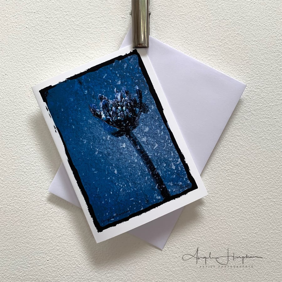 Blank Fine Art Card - Arty Agapanthus Blue