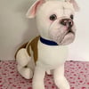 Bulldog Keepsake 
