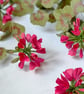 Paper Geranium - Crimson - Image 7