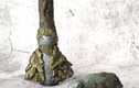 Secret Forest Collection