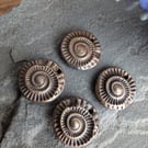 Bronze Ammonite Charms 1 Pair