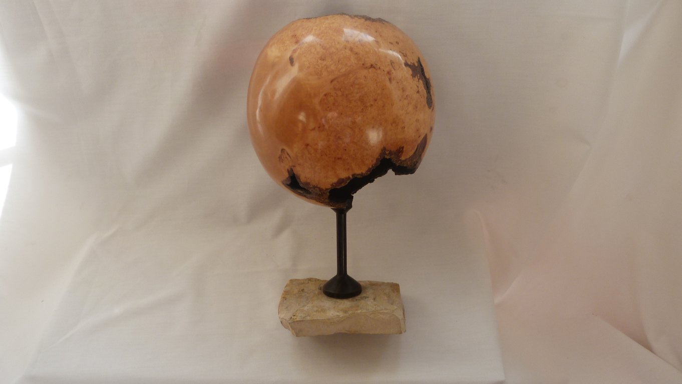 BIRCH SPHERE ON EBONY "THE BLACK HOLE"