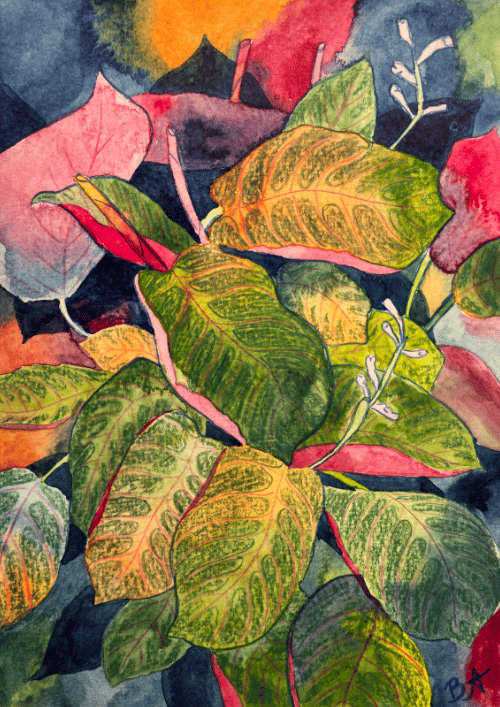 Prayer Plant A4 Art Print