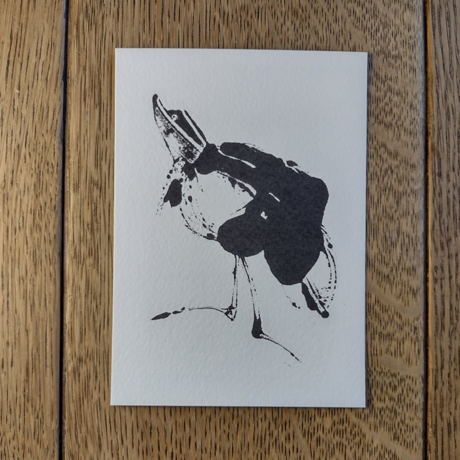 Butler Bird Postcard