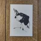 Butler Bird Postcard