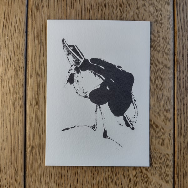 Butler Bird Postcard