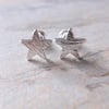 Silver Star Stud Earrings 