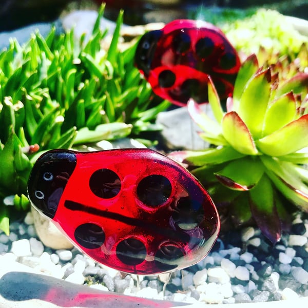 Fused glass ladybird garden or plant pot stake decoration  