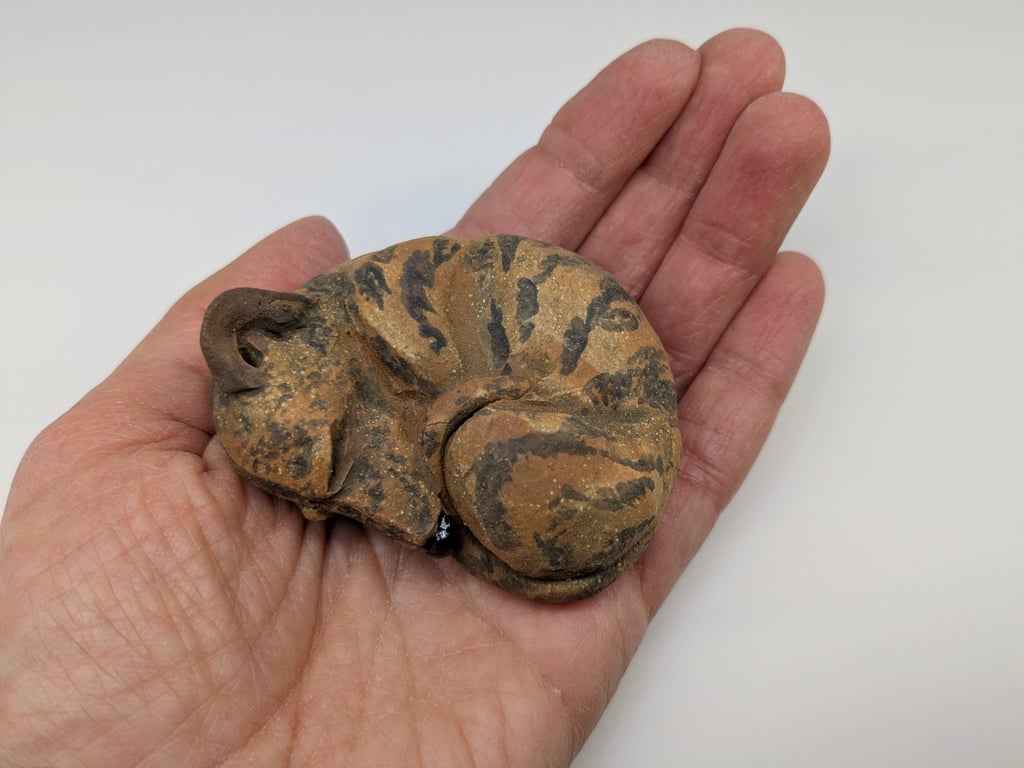 Mini Curled Greyhound Whippet Lurcher