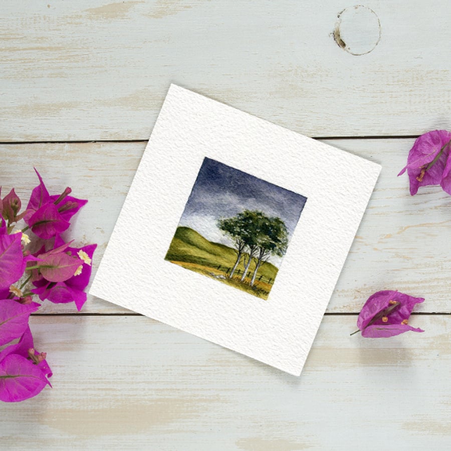  Original Watercolour Miniature painting of windswept Scottish pine trees