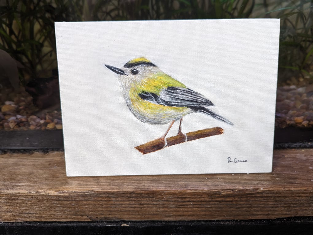 Goldcrest Painting (with hanger)