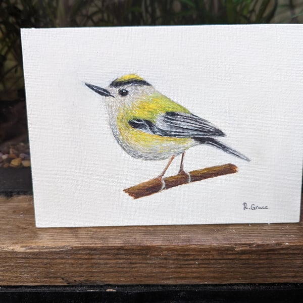 Goldcrest Painting (with hanger)