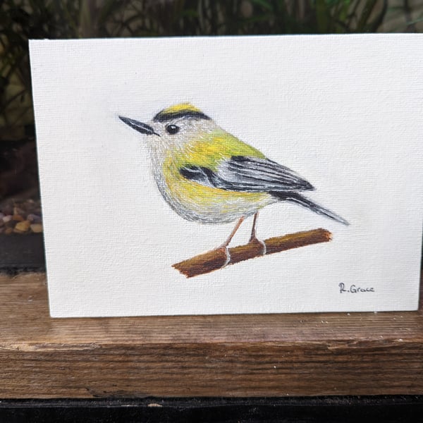 Goldcrest Painting 