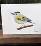 Goldcrest Acrylic Portrait Painting - Image 1