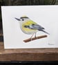 Goldcrest Painting 