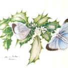 HOLLY BLUE BUTTERFLIES - Colour pencil drawing 