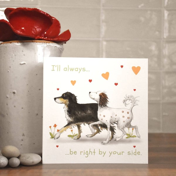 Valentine's, Anniversary Card, One I Love, Dog, Springer Spaniel, Border Collie,