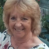 Carol Gaynor Designs