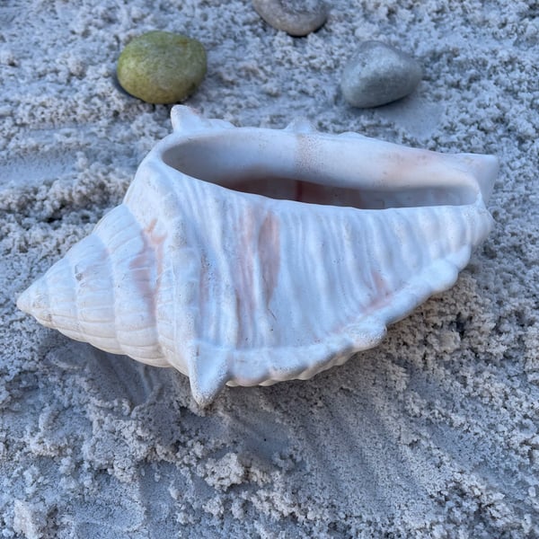 White Cement Conch Shell Planter Handmade Coastal Plant Pot  Indoor Outdoor 