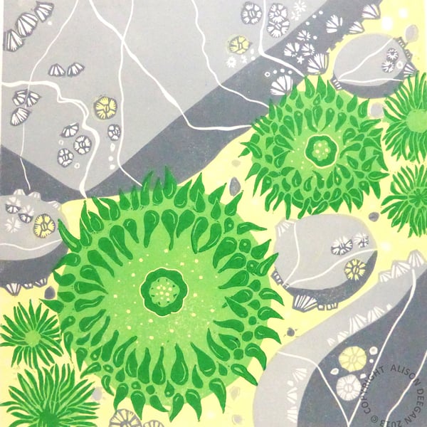 Green Surf Anemones LINO PRINT ROCKPOOL