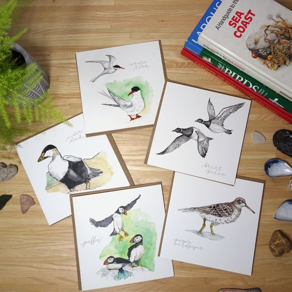 Square Notecards (Set of x5) - Watercolour Illustrations of Coastal Birds