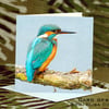 Exclusive Handmade Kingfisher Greetings Card on Archive Photo Paper