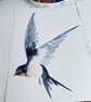 Watercolour Print Swallows Donny  - Image 2