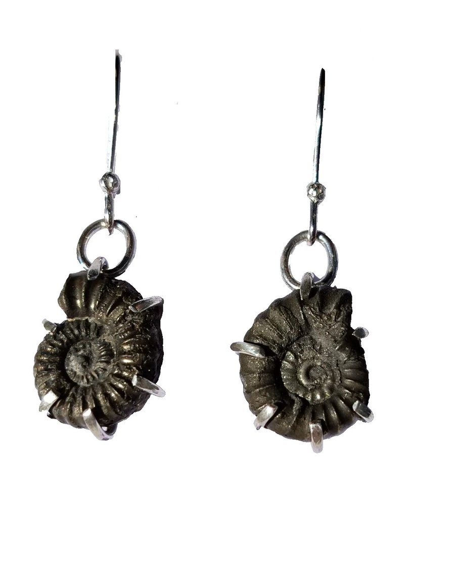 Pyrite Ammonite Fossil Earrings Claw Set in Recycled Sterling Silver Gift Box