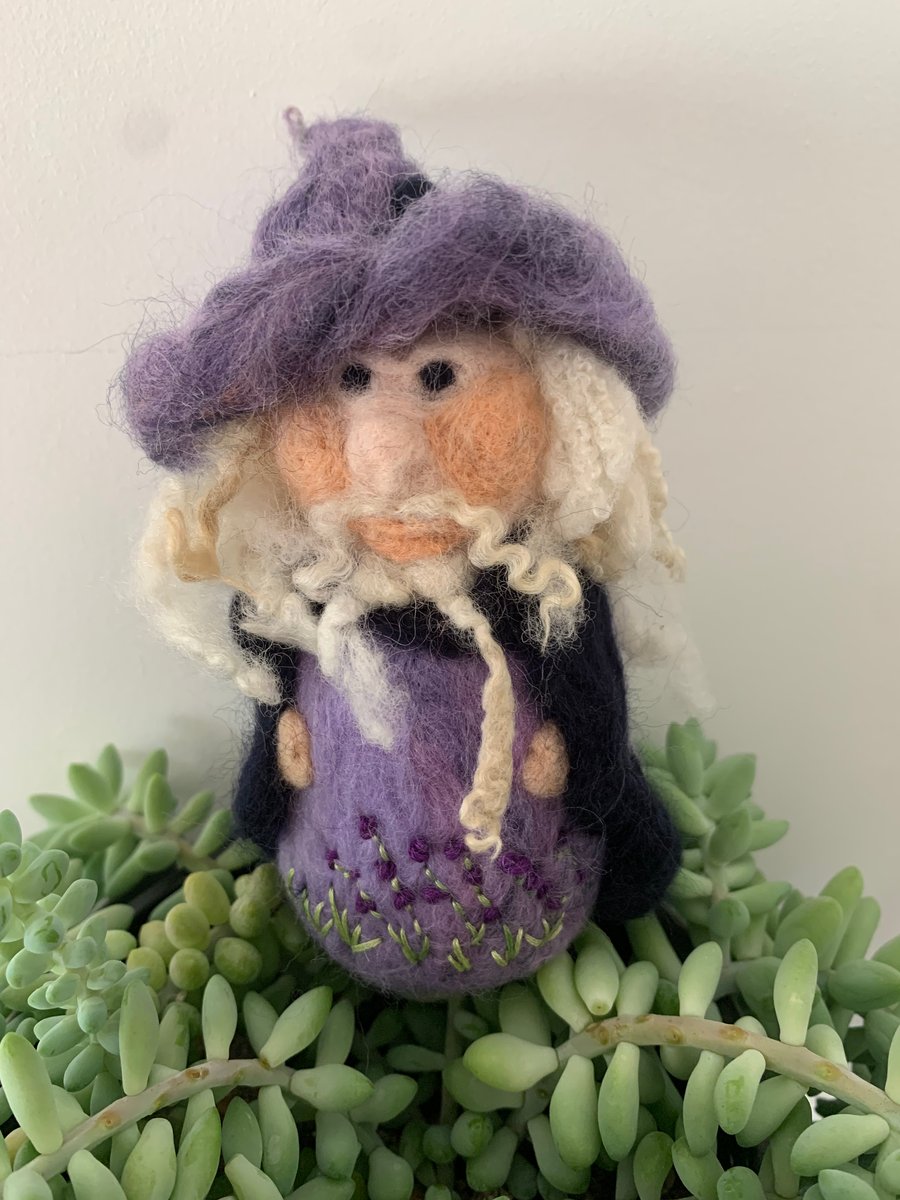 Mr Plum the Flower Wizard