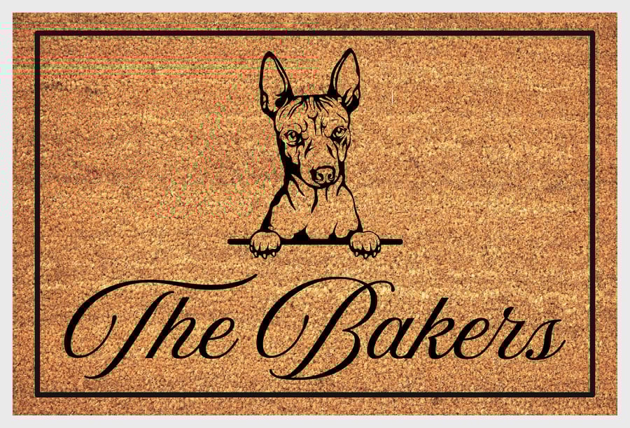 Hairless Terrier Door Mat - Personalised Hairless Terrier Welcome Mat - 3 Sizes