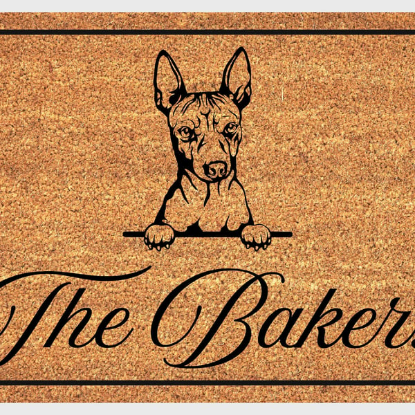 Hairless Terrier Door Mat - Personalised Hairless Terrier Welcome Mat - 3 Sizes