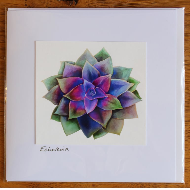 Echeveria Handmade Greetings Card