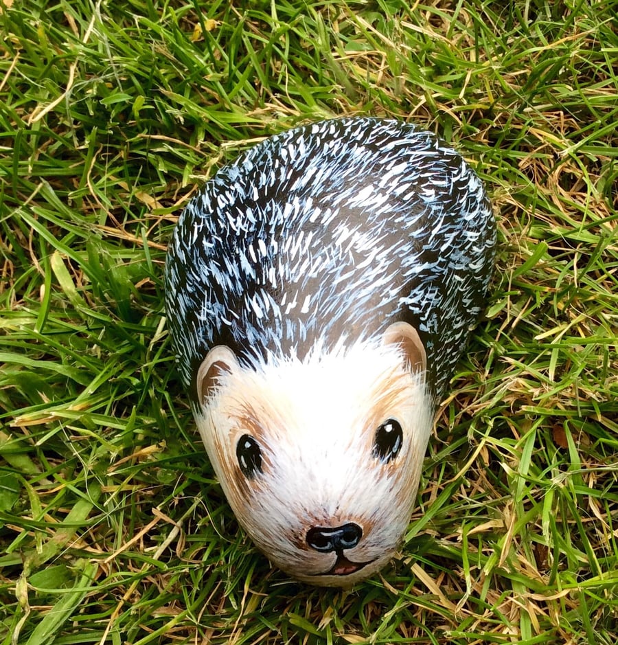 Hedgehog hand painted stone 