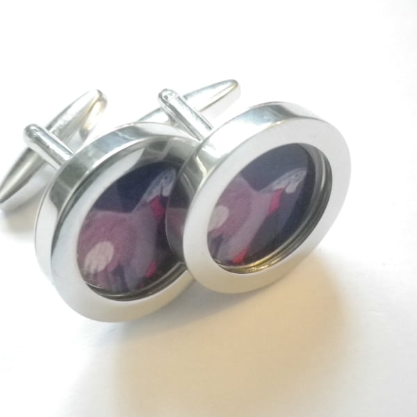 Parrot in Flight cufflinks,free shipping, gift wrapped, terrific image, Ref 12..